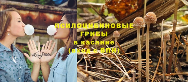 МДПВ Алексин